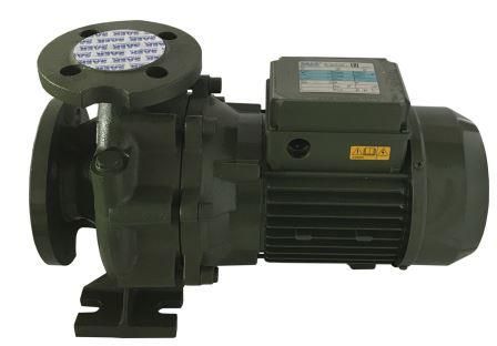Насосный агрегат моноблочный фланцевый SAER IR 32-125A в Красноярске 